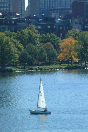 Sailing On The Charles River, Boston, Massachusetts, USA