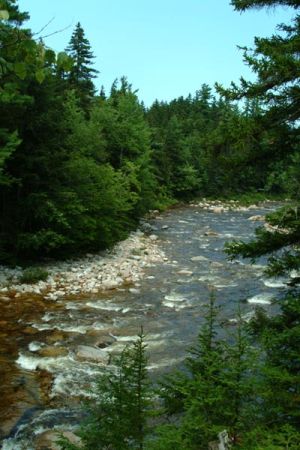 Swift River Lower Falls, New Hampshire, USA