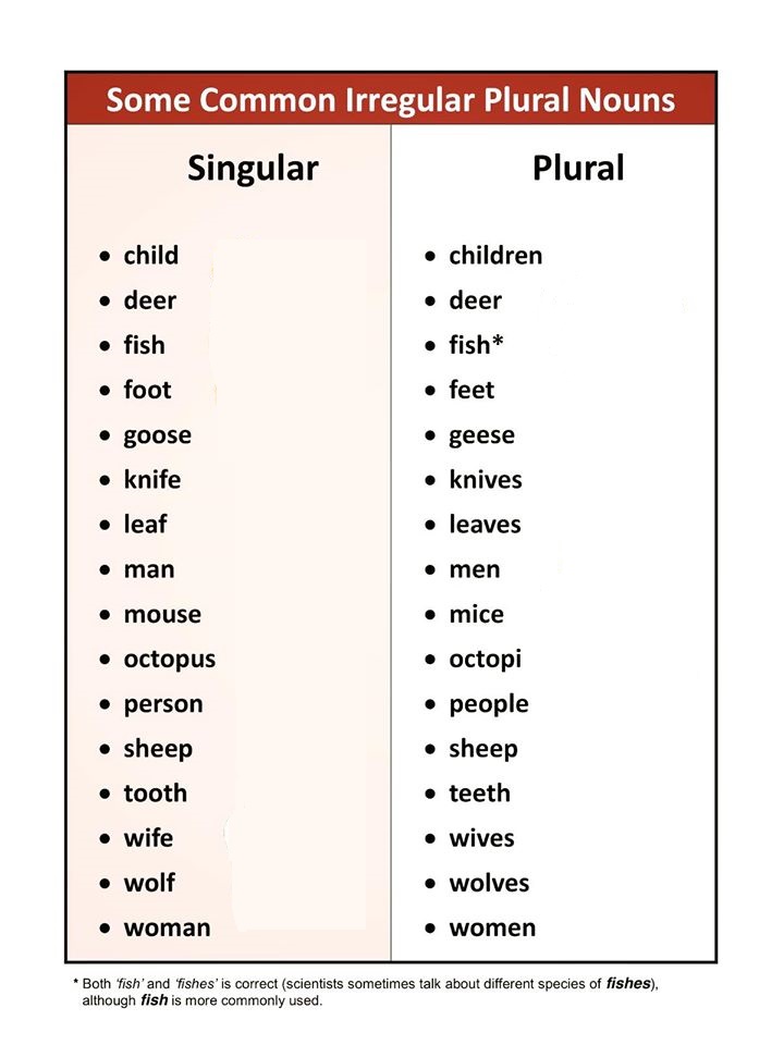 plural-singular